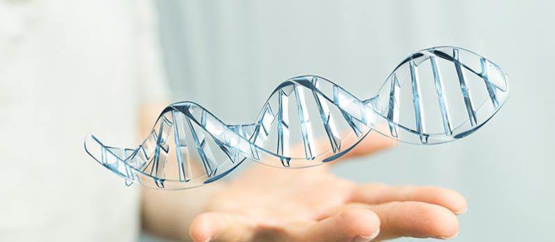 Double Helix